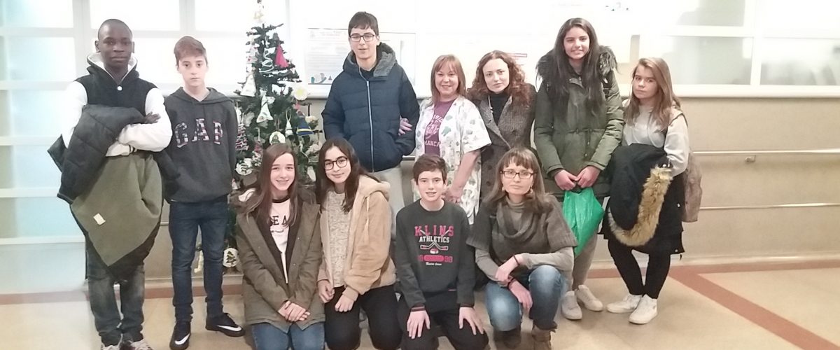 Taller d’arbres de Nadal a l’aula hospitalària de l’Arnau