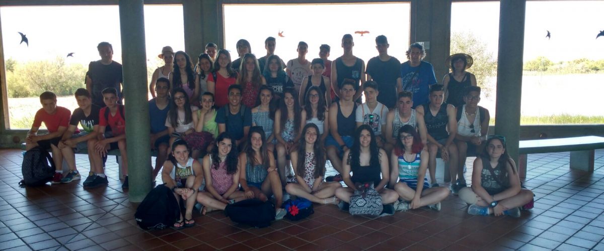 Viatge de fi de curs a Sevilla de l’alumnat de 4rt d’ESO