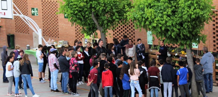 Hort Vertical: De l’hort escolar a l’horta de Lleida